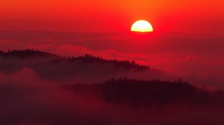A captivating digital painting depicting fog-covered hills bathed in the warm glow of a setting sun.  High contrast, low-key 