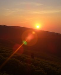 A photograph of a sunset over terraced tea plantations, captured with a bright lens flare. This image exhibits vibrant comple