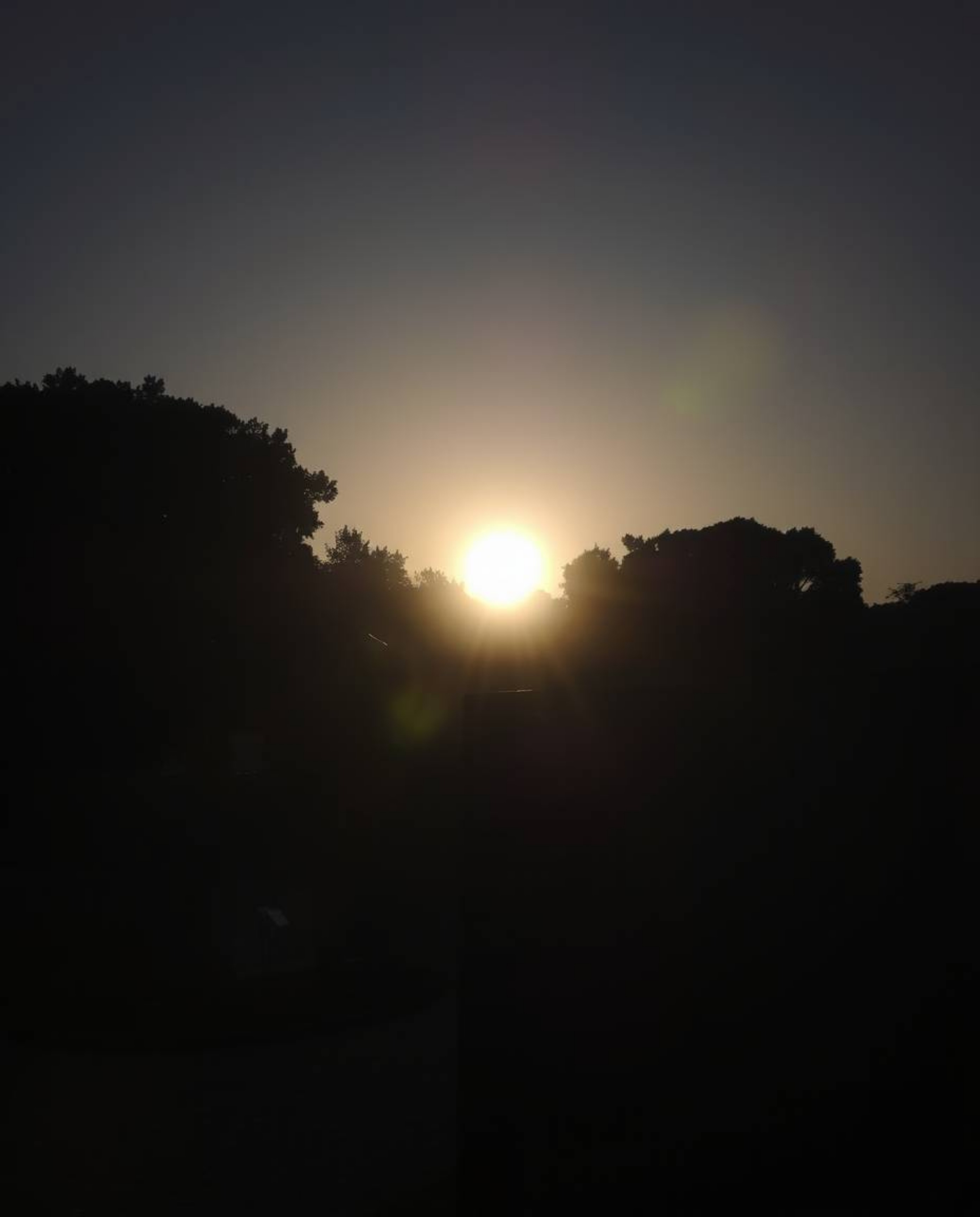 High contrast low-key lighting photograph of a sunset over a serene Zen garden emphasizing deep shadows and a dramatic effect