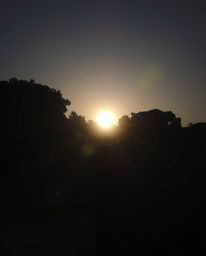 High contrast low-key lighting photograph of a sunset over a serene Zen garden emphasizing deep shadows and a dramatic effect
