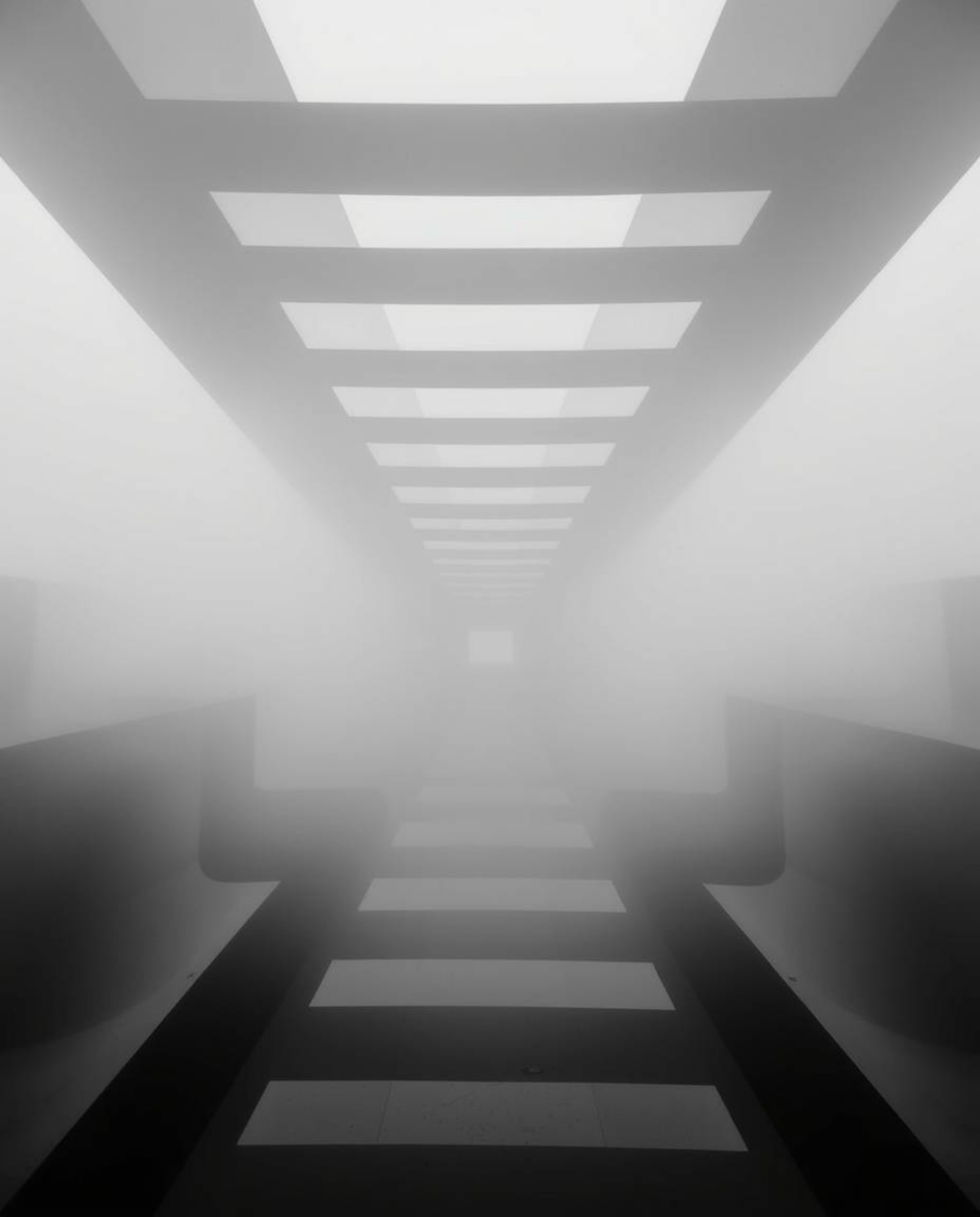 This artwork features a captivating black and white geometric pattern designed in an optical illusion style, instantly transp