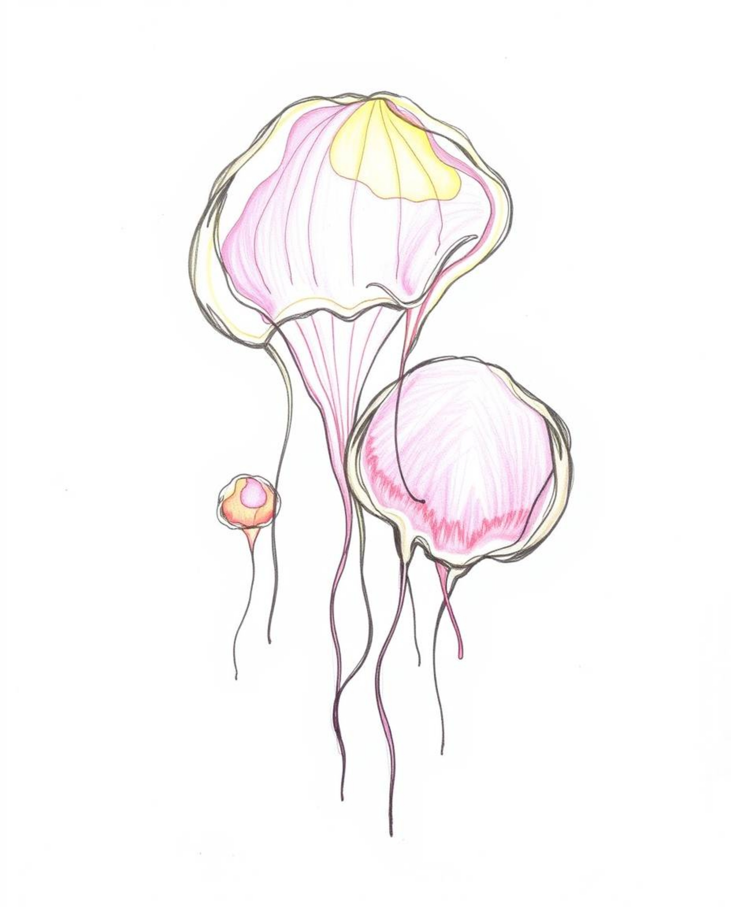 This hand-drawn sketch, silhouetted against a light source, showcases floating 3D blobs of vibrant fluid jelly with intriguin