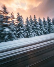 A dynamic action scene captures snowy pine trees under a rainy sunset. The image is full of energy, with blurred motion conve