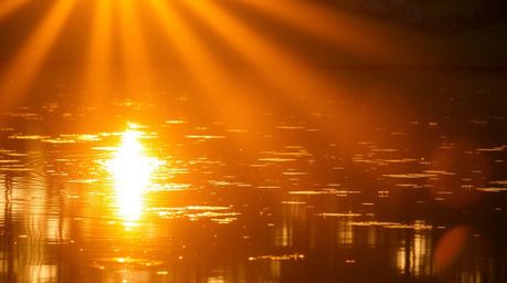 Capture the serene beauty of a calm pond reflecting the warm golden light of the golden hour or a vibrant sunset.  Experience