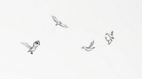 A charming hand-drawn sketch in the style of Pixar portrays a blind owl gracefully mid-flight, guiding several birds as they 