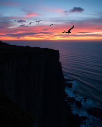 This image portrays a fantastical, bioluminescent sunset over a coastal cliff, where soaring birds glow with warm terracotta 