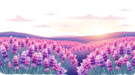This artwork features a hand-drawn color sketchnote of adorable and charming lavender fields glowing under a dreamy pink sky.