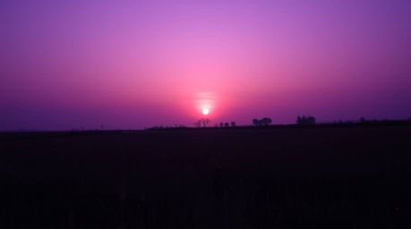 Experience a dreamy atmosphere bathed in deep ultraviolet hues, transitioning to a serene sunset over a quiet meadow. Firefli