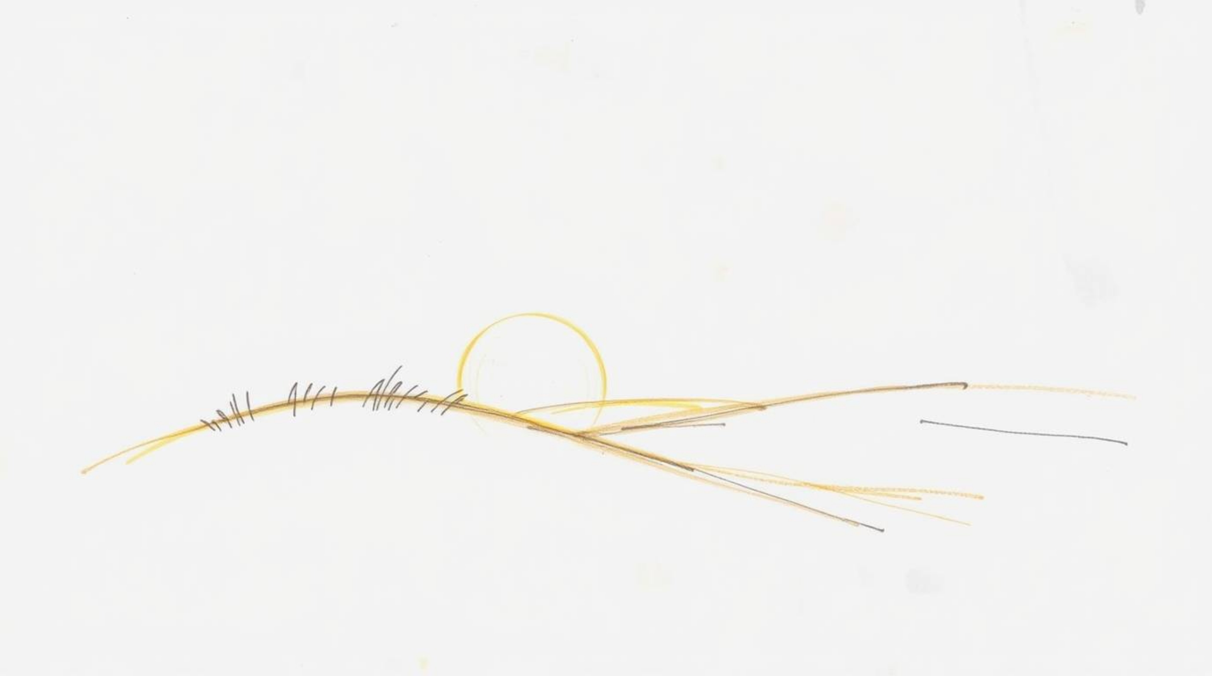 A graceful, elegant hand-drawn sketch depicting a breathtaking sunset over golden dunes.  The refined linework and rough penc
