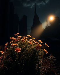 A striking image of resilience and beauty, showcasing flowers blooming in the stark landscape of a post-apocalyptic city. Bat