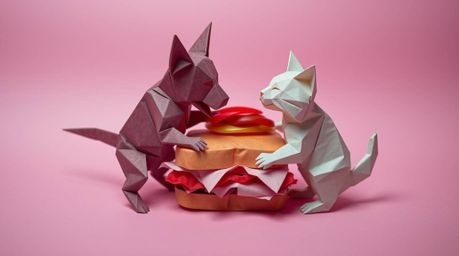 This image portrays a captivating scene of a dog and cat engaged in a playful yet intense struggle over a massive sandwich. T