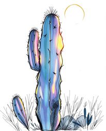This is a hand-drawn sketch of an iridescent desert cactus, captured glowing in the last rays of the sun. The artwork is crea