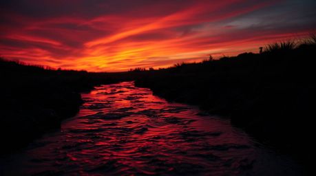 A captivating close-up reveals the intricate details of a winding river bathed in the golden glow of a dramatic orange-pink s