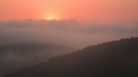 A breathtaking photograph captures the serene beauty of fog-covered hills bathed in the warm glow of a setting sun.  The imag
