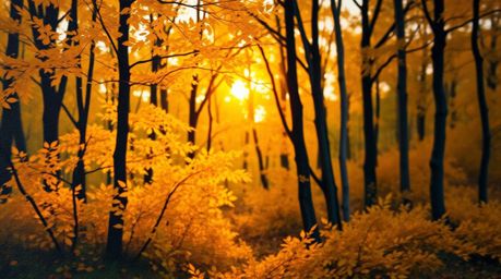 A stunning oil painting capturing the essence of autumn, showcasing a vibrant forest with golden leaves bathed in the warm gl