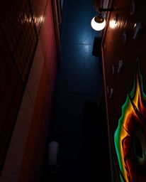 Experience a mesmerizing overhead perspective showcasing iridescent colors reflecting in watchful eyes from the depths of a n