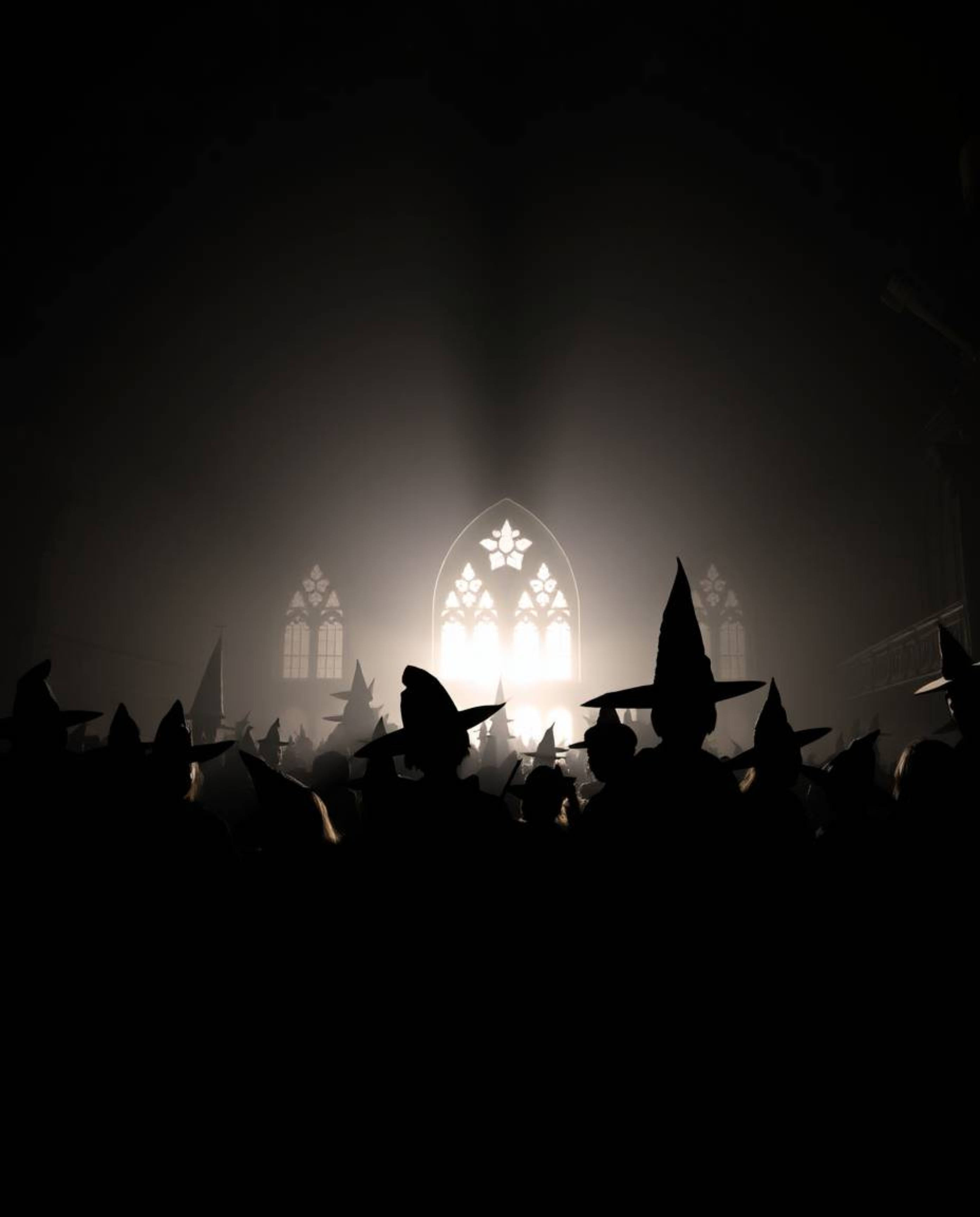 This image showcases a magical school brimming with young wizards, presented as a captivating silhouette with a light source 
