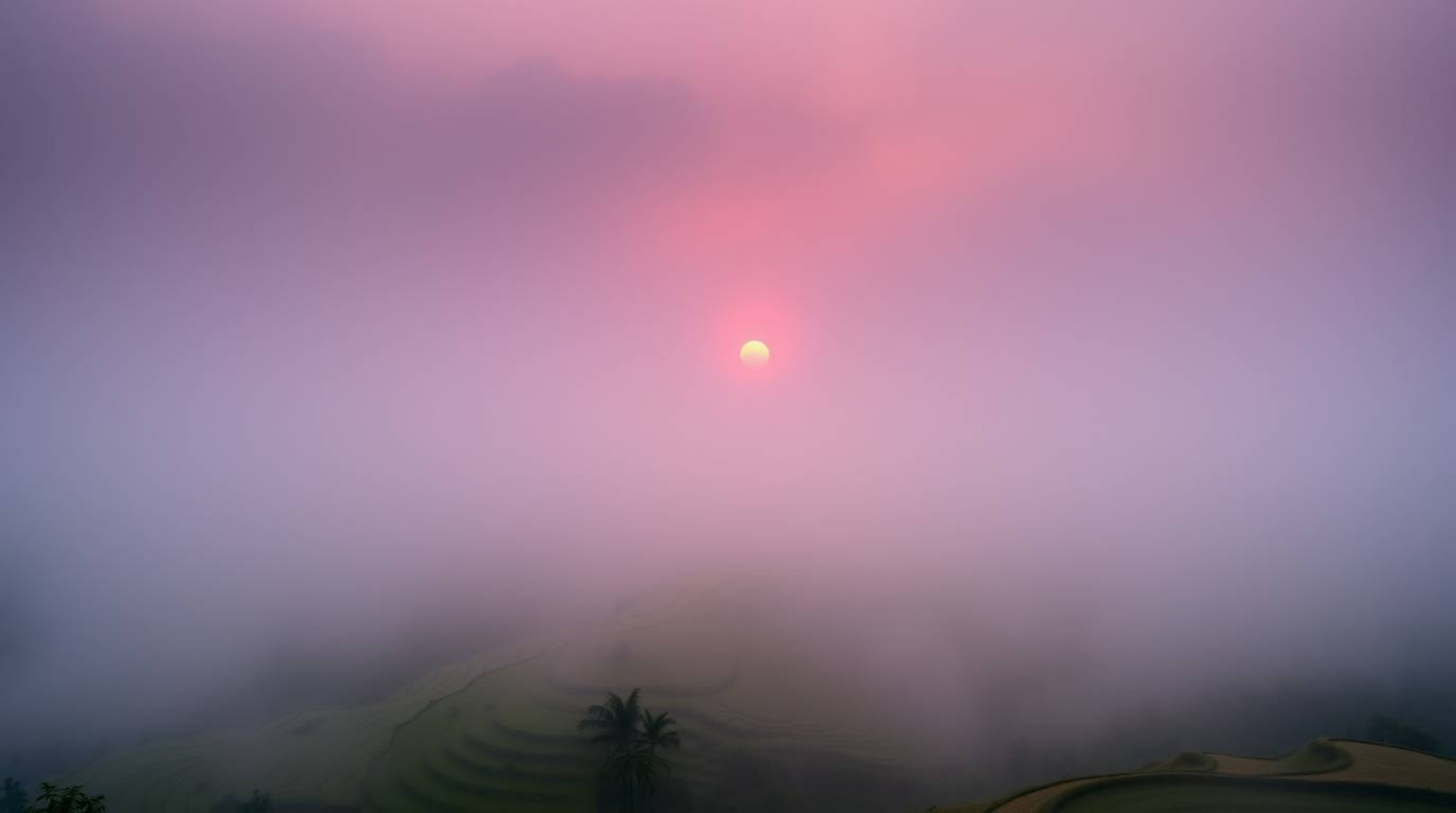 A thick fog blankets the mountain rice terraces, creating a dramatic and mysterious atmosphere as a lively and energetic suns