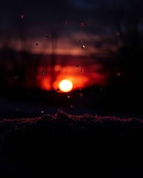 This image captures the dramatic scene of snowflakes falling during a vibrant sunset, masterfully utilizing chiaroscuro light