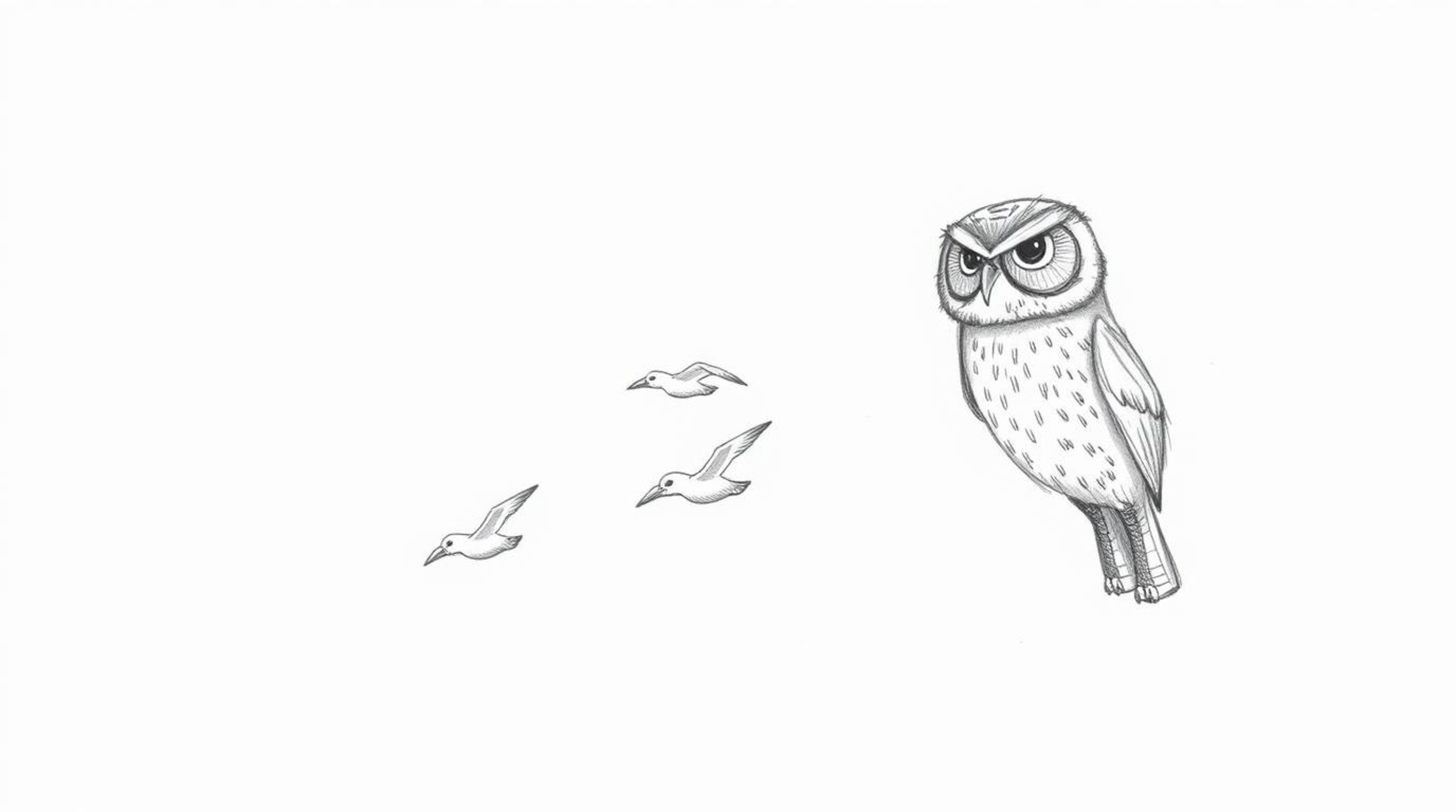 A gentle hand-drawn sketch depicts a blind owl, feathers detailed with textured pencil strokes, leading a flock of birds in p