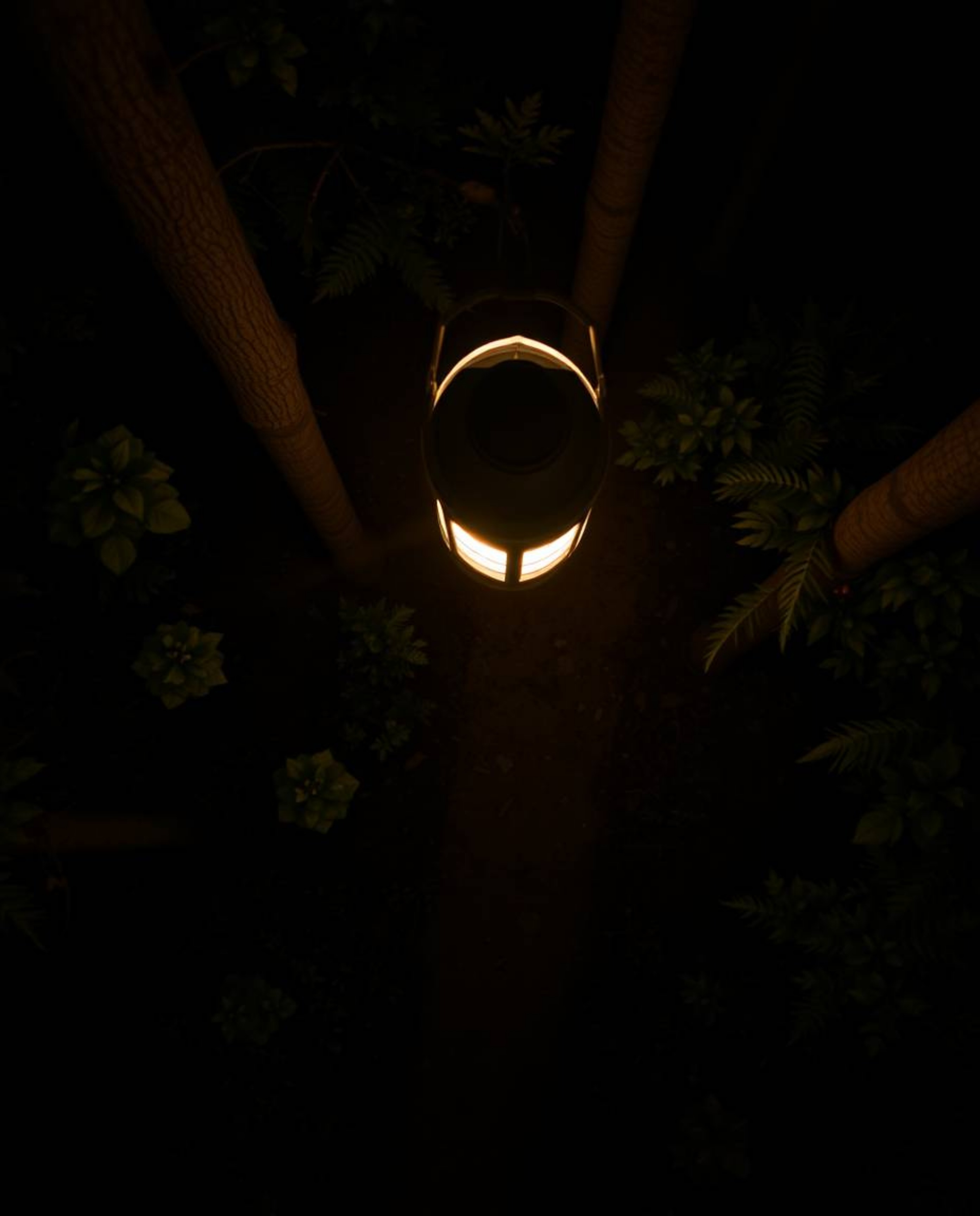 This image captures a mesmerizing overhead bird's-eye view of a glowing lantern illuminating a dark forest. The long-exposure