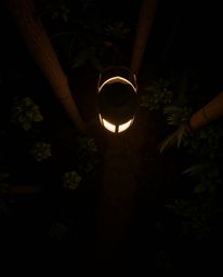 This image captures a mesmerizing overhead bird's-eye view of a glowing lantern illuminating a dark forest. The long-exposure