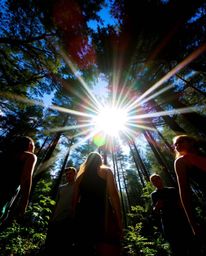 Embark on a captivating adventure as a group of friends with unique powers explores a vibrant forest, their silhouettes outli