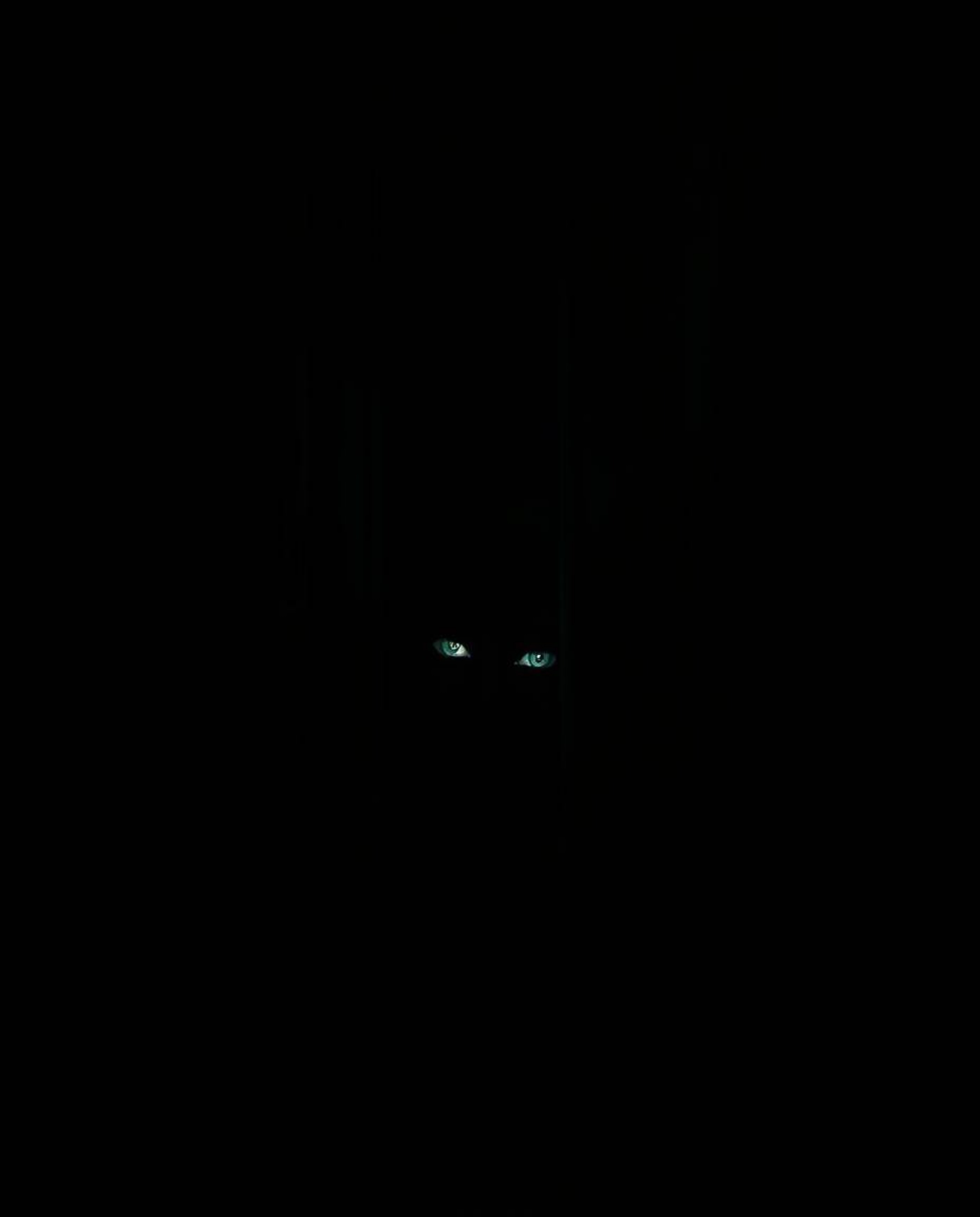 Experience the chilling and captivating scene of eyes watching from a shadowed alley at night. Rendered in high contrast, low