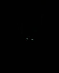 Experience the chilling and captivating scene of eyes watching from a shadowed alley at night. Rendered in high contrast, low