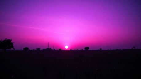 Experience the breathtaking beauty of a deep ultraviolet sunset over a tranquil meadow as fireflies begin to emerge.  This st