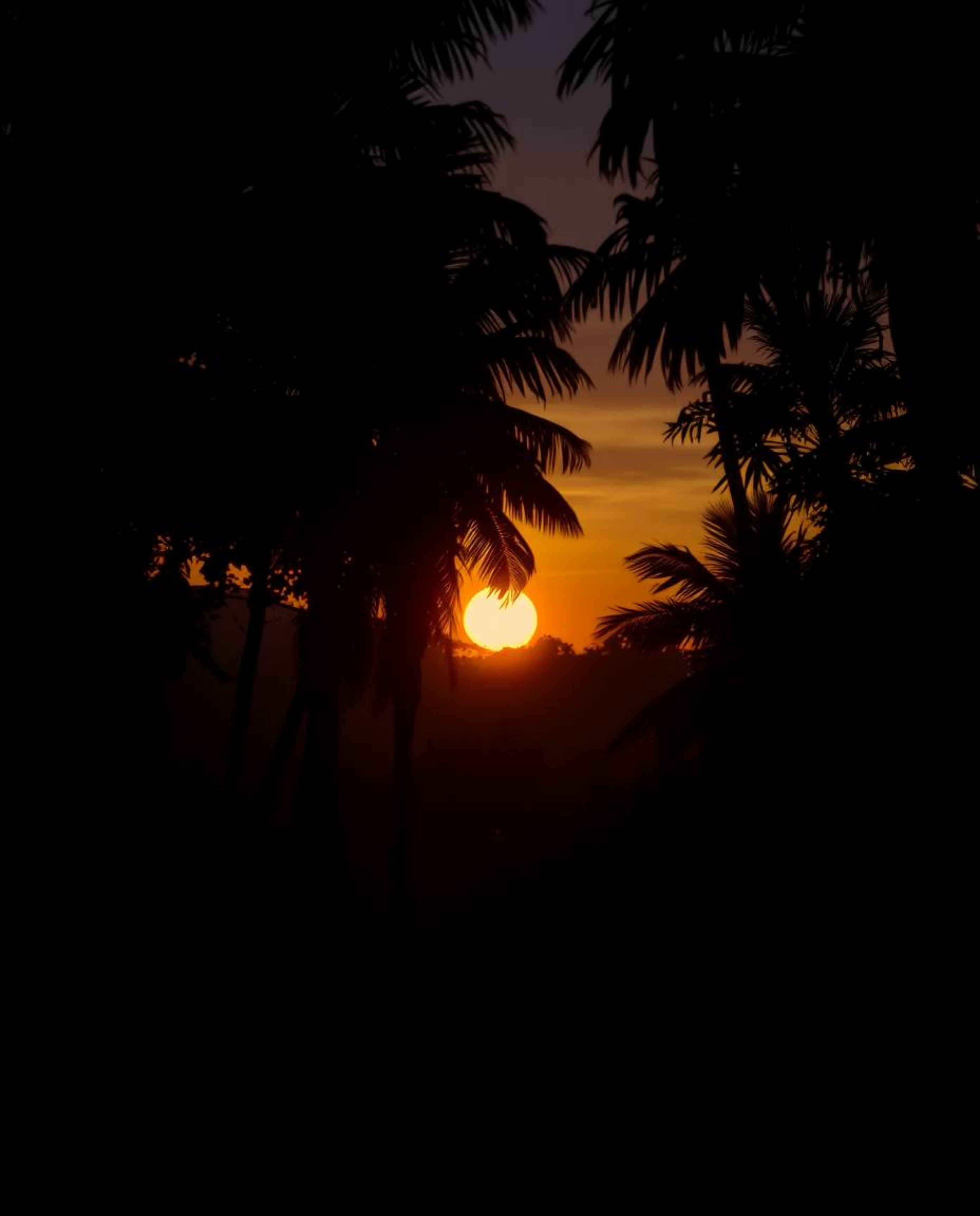 A smooth gradient transition of warm candlelight hues depicts a sunset filtering through a dense jungle canopy. The scene is 