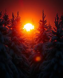 A photograph captures the mesmerizing beauty of sunset light sparkling on snowy pine trees, enhanced by warm, high-contrast, 