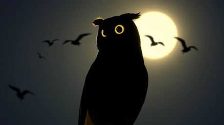 A heartwarming image of a blind owl, rendered in a delightful Pixar style, silhouetted against a radiant light. This inspirin