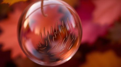 A captivating close-up showcases a glass object beautifully reflecting smooth gradient textures with a mesmerizing blurred bo