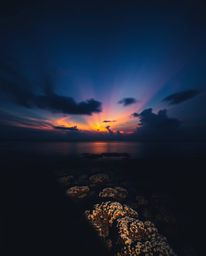 Long-exposure photography captures a colorful sky over a coral reef at low tide, employing high-contrast, low-key lighting to
