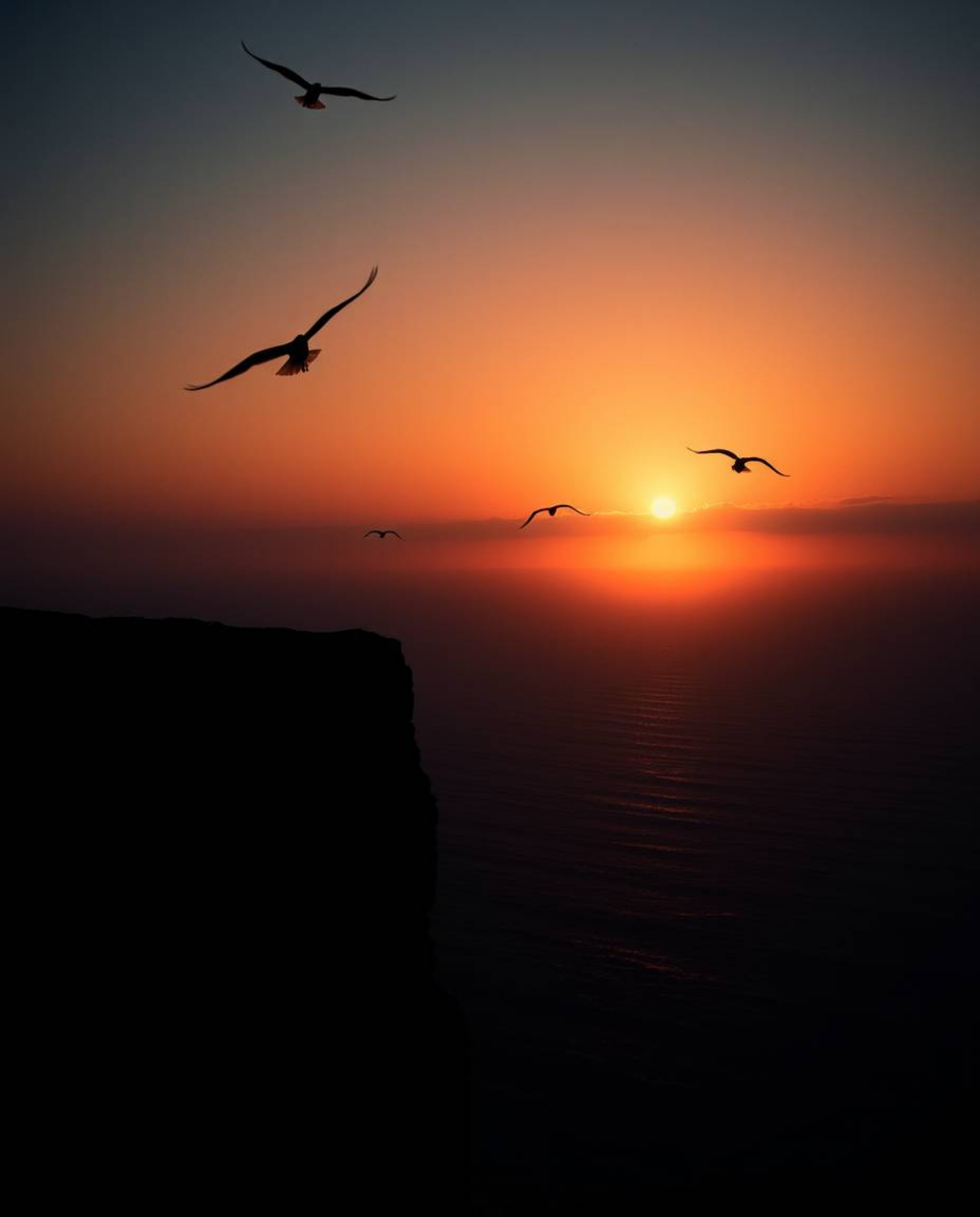 This is a high-contrast, low-key cinematic portrayal of a sunset over a coastal cliff, featuring soaring birds. The scene is 