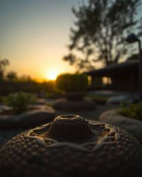 Extreme macro close-up photograph of a detail within a sunset over a serene Zen garden: sharp focus on a small subject, empha