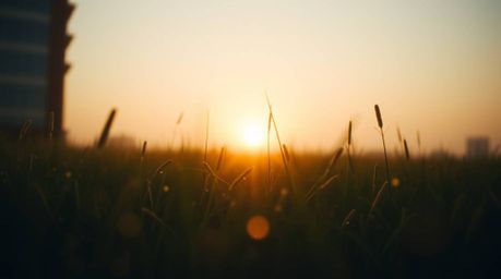 A precise architectural color photograph capturing a soft, dreamy atmosphere with backlighting silhouetting a sunset over a q