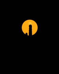 This is a modern flat design depicting a desert cactus glowing in the last rays of the sun, rendered in an intense jet black.