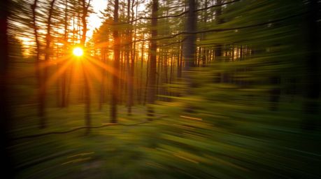 A captivating long exposure photograph showcases the vibrant hues of a sunset streaming through a dynamic forest.  Blurred li