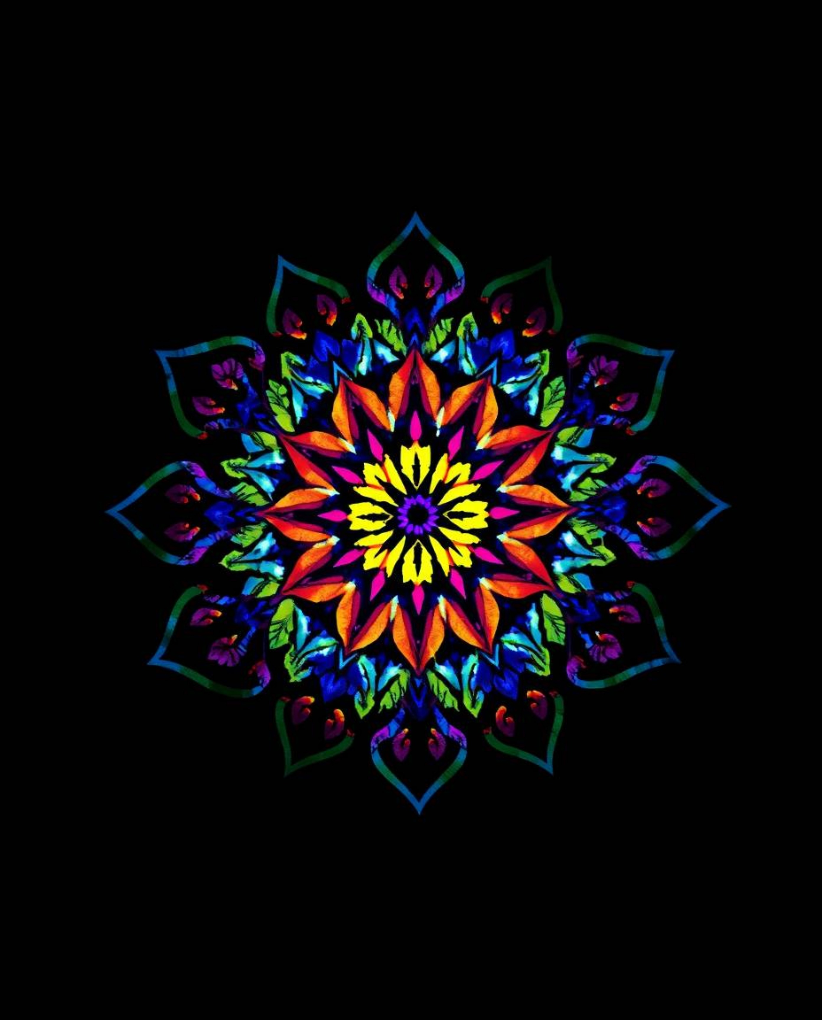 A captivating image showcases a geometric floral mandala bathed in dramatic, high-contrast, low-key lighting.  Vibrant, elect