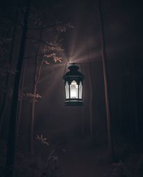 A glowing lantern illuminates a dark forest in the infrared spectrum, creating a surreal and otherworldly scene. The volumetr