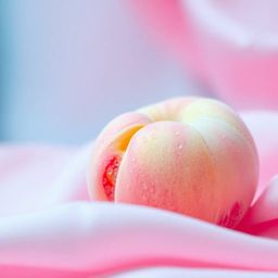 A dreamy close-up image featuring a soft pink peach resting on pastel pink silk. Creative light art enhances the scene, creat