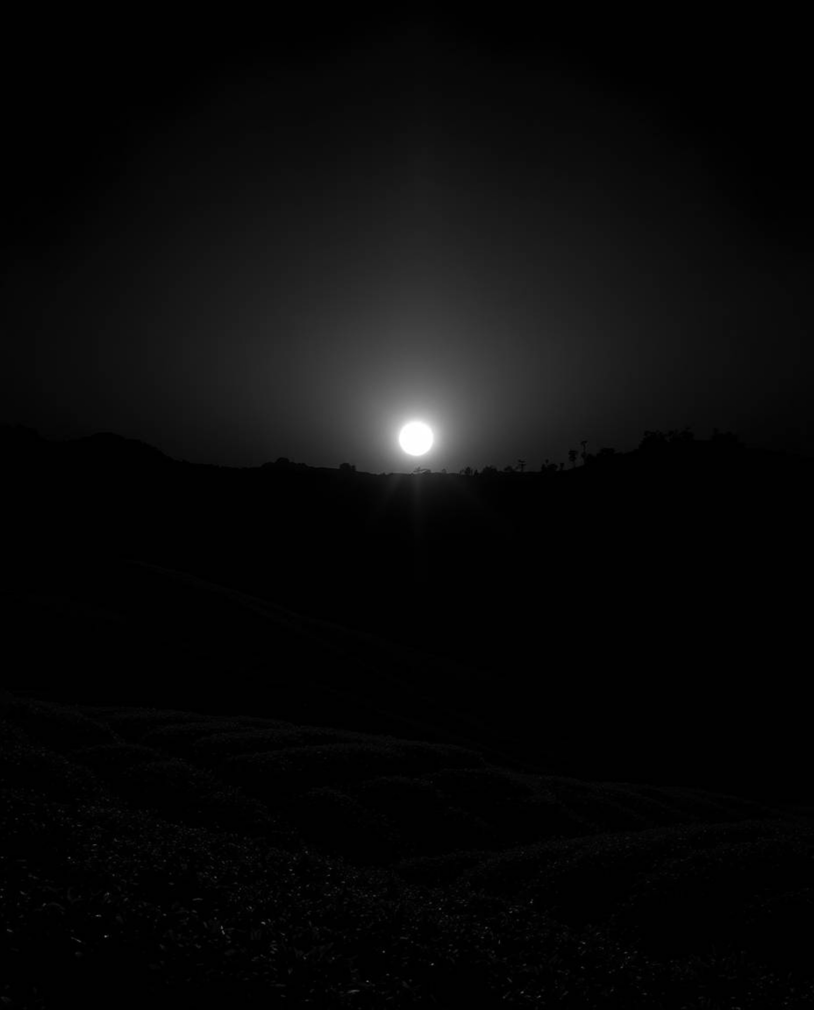 A stark black and white photograph of a sunset over terraced tea plantations. The image is dominated by intense jet black, em