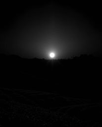 A stark black and white photograph of a sunset over terraced tea plantations. The image is dominated by intense jet black, em