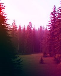 A captivating surreal landscape image featuring a digital glitch effect seamlessly blended over a natural forest scene.  Smoo