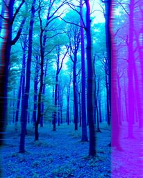 Experience a captivating blend of nature and digital art. This piece showcases a digital glitch effect applied to a serene fo