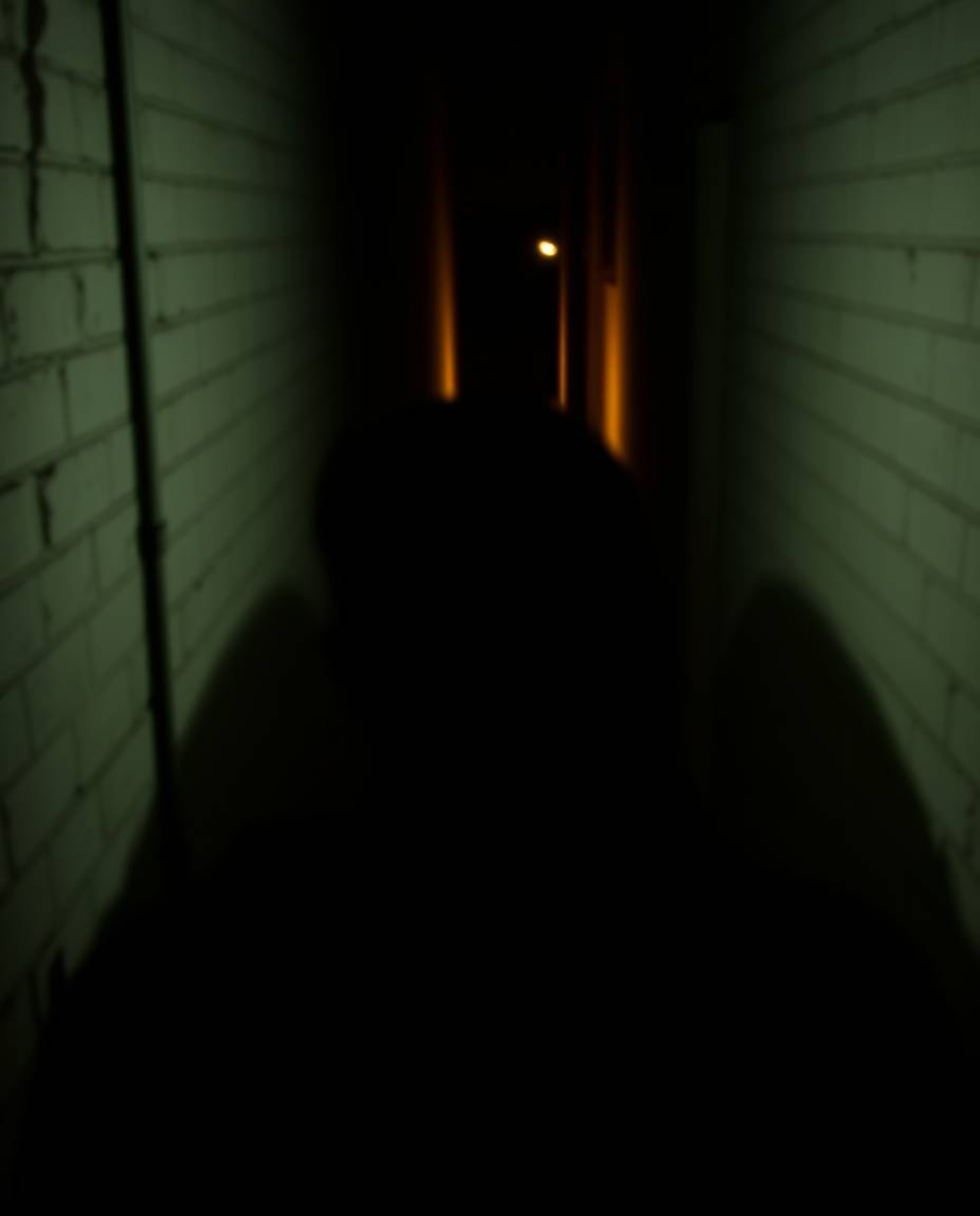A chilling digital photograph capturing eyes watching intently from the depths of a shadowy alley at night. The image, taken 