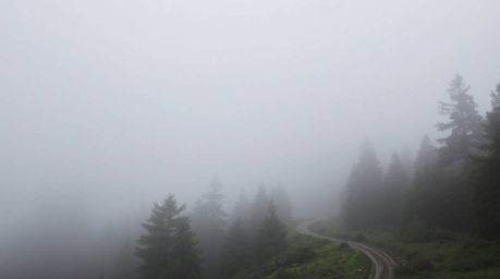 Experience a thrilling chase scene set against a looping forest backdrop.  Thick fog and low visibility create a suspenseful 