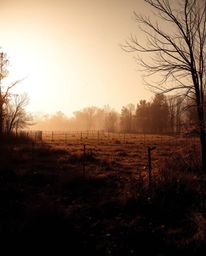 Explore a visually striking scene depicting a warm autumn battlefield with dramatic shadows and a sense of time distortion. W